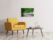 Load image into Gallery viewer, Canvas print Beautiful tree avenue
