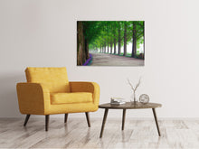 Load image into Gallery viewer, Canvas print Beautiful tree avenue
