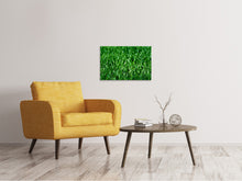 Load image into Gallery viewer, Canvas print The meadow in XL
