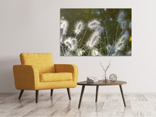 Load image into Gallery viewer, Canvas print Ornamental grasses in XL
