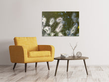Load image into Gallery viewer, Canvas print Ornamental grasses in XL
