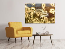 Load image into Gallery viewer, Canvas print Ornamental grass in the sunlight
