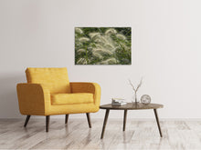 Load image into Gallery viewer, Canvas print Ornamental grass in the wind
