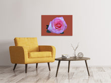 Load image into Gallery viewer, Canvas print Rose in pink XXL
