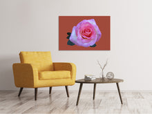 Load image into Gallery viewer, Canvas print Rose in pink XXL
