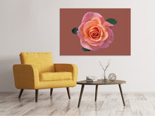 Load image into Gallery viewer, Canvas print Rose in apricot XXL
