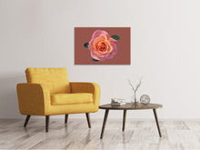 Load image into Gallery viewer, Canvas print Rose in apricot XXL
