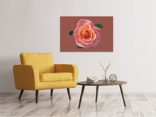 Load image into Gallery viewer, Canvas print Rose in apricot XXL
