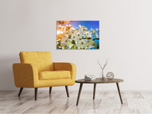 Load image into Gallery viewer, Canvas print The apple tree blossom
