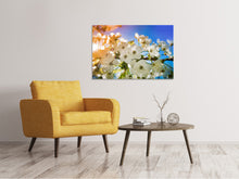 Load image into Gallery viewer, Canvas print The apple tree blossom
