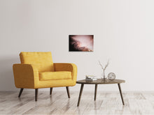 Load image into Gallery viewer, Canvas print Pink clouds
