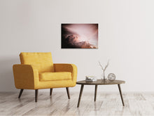 Load image into Gallery viewer, Canvas print Pink clouds
