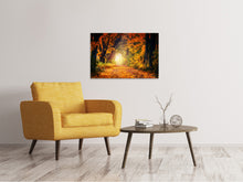 Load image into Gallery viewer, Canvas print Forest walk
