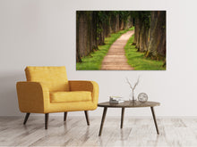 Load image into Gallery viewer, Canvas print A path in the forest
