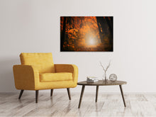 Load image into Gallery viewer, Canvas print Autumn light in the forest
