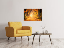 Load image into Gallery viewer, Canvas print Colors magnificent forest
