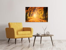 Load image into Gallery viewer, Canvas print Colors magnificent forest
