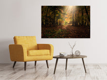 Load image into Gallery viewer, Canvas print The deciduous forest
