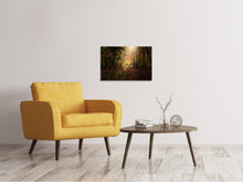 Load image into Gallery viewer, Canvas print The deciduous forest
