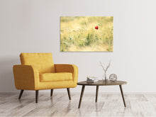 Load image into Gallery viewer, Canvas print A poppy
