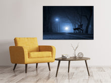 Load image into Gallery viewer, Canvas print At night in the park
