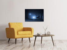 Load image into Gallery viewer, Canvas print At night in the park
