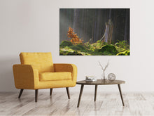 Load image into Gallery viewer, Canvas print The magic in the forest
