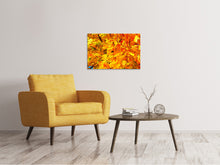 Load image into Gallery viewer, Canvas print Autumn leaves
