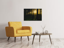 Load image into Gallery viewer, Canvas print Sunset in the forest
