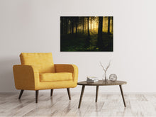 Load image into Gallery viewer, Canvas print Sunset in the forest
