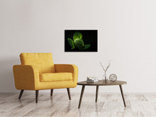 Load image into Gallery viewer, Canvas print The cabbage
