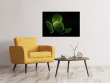 Load image into Gallery viewer, Canvas print The cabbage
