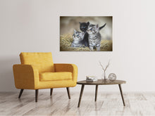 Load image into Gallery viewer, Canvas print Kitten trio
