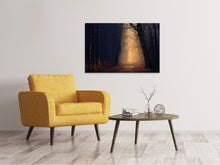 Load image into Gallery viewer, Canvas print Evening mood in the forest
