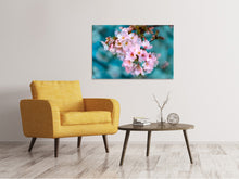 Load image into Gallery viewer, Canvas print Close up flower

