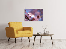 Load image into Gallery viewer, Canvas print Close up cherry blossom
