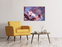 Load image into Gallery viewer, Canvas print Close up cherry blossom
