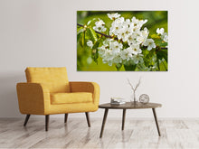 Load image into Gallery viewer, Canvas print White flowers in XL
