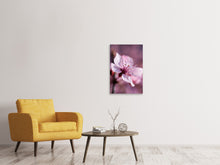 Load image into Gallery viewer, Canvas print Adorable cherry blossom
