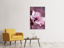 Load image into Gallery viewer, Canvas print Adorable cherry blossom
