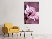 Load image into Gallery viewer, Canvas print Adorable cherry blossom
