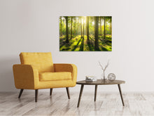 Load image into Gallery viewer, Canvas print In the middle of the woods
