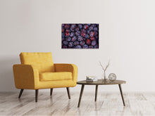 Load image into Gallery viewer, Canvas print Fresh plums
