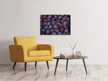 Load image into Gallery viewer, Canvas print Fresh plums
