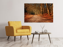 Load image into Gallery viewer, Canvas print Nature in autumn
