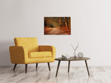 Load image into Gallery viewer, Canvas print Nature in autumn
