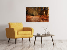 Load image into Gallery viewer, Canvas print Nature in autumn
