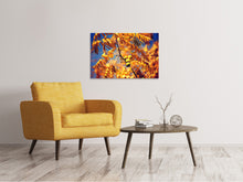 Load image into Gallery viewer, Canvas print The walnut XL
