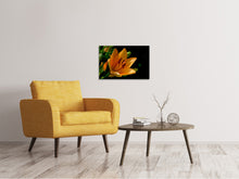 Load image into Gallery viewer, Canvas print Close up lily in orange
