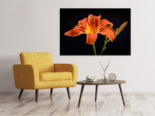 Load image into Gallery viewer, Canvas print A lily flower in orange
